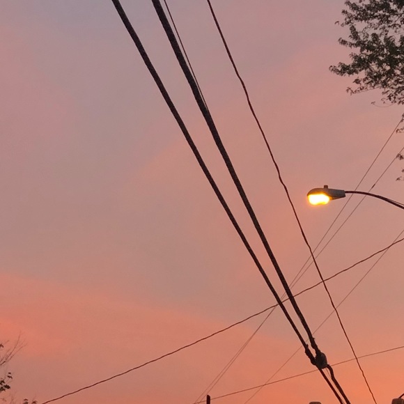 Meet your Posher, Sky - Picture 1 of 1